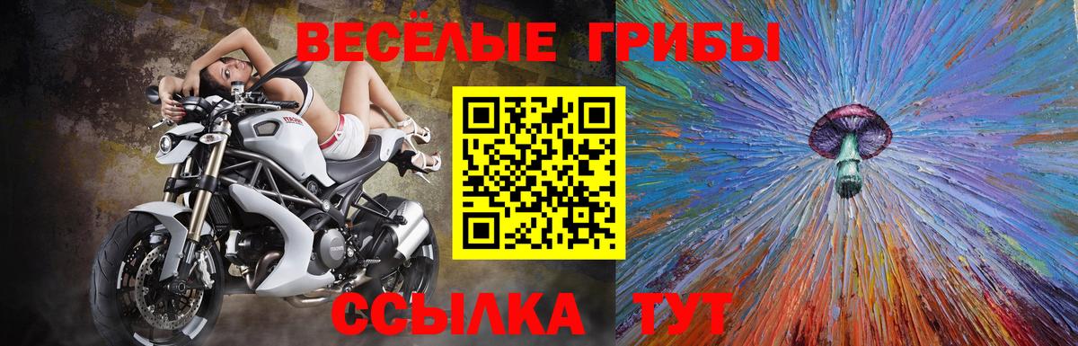 Волгоград  Галлюциногенные грибы ЛСД  Вход с VPN  Галлюциногенные грибы мухоморы 