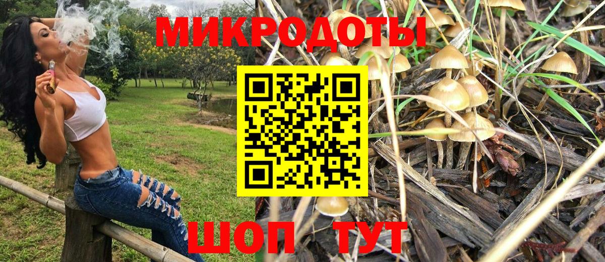 Псилоцибиновые грибы MAGIC MUSHROOMS Волгоград