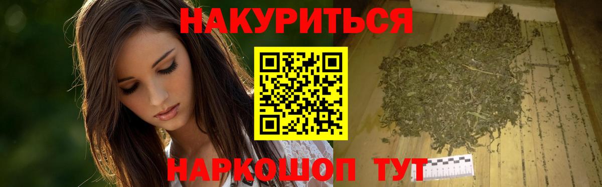 МАРИХУАНА план Волгоград